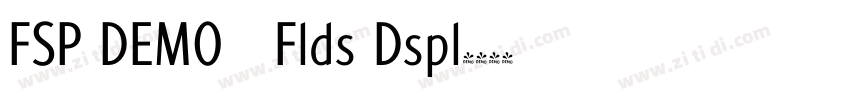 FSP DEMO   Flds Dspl字体转换